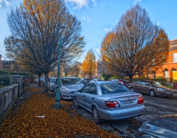  LATE AUTUMN IN RATHGAR - GARVILLE AVENUE  