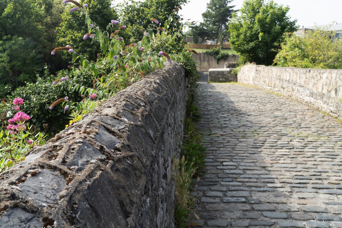 PACKHORSE BRIDGE ACROSS THE DODDER -  1650s STONE FOOTBRIDGE IN MILLTOWN  005