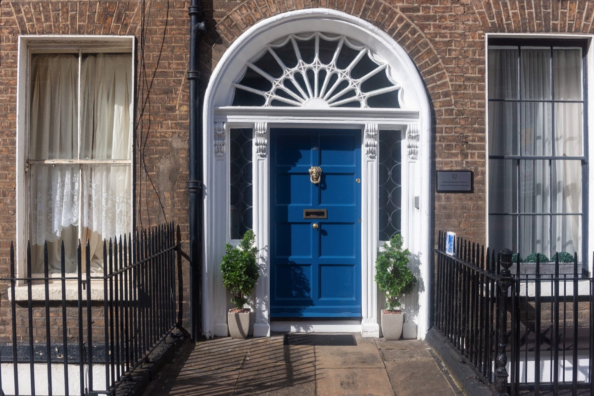 THE DOORS OF DUBLIN - UPPER MOUNT STREET 003