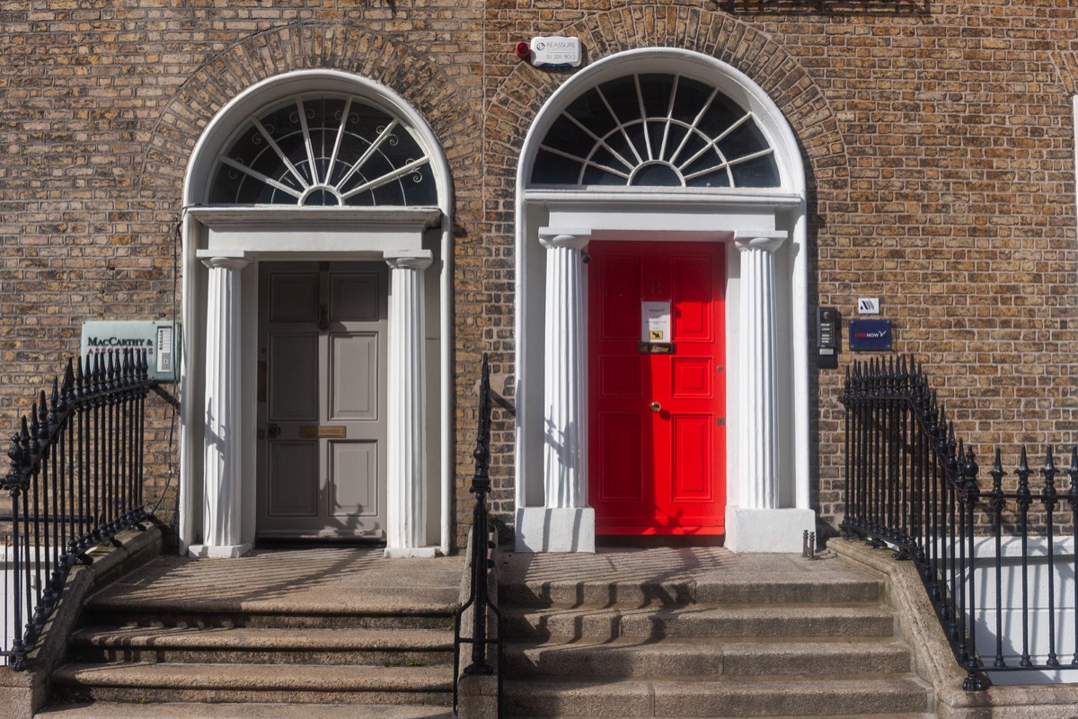 THE DOORS OF DUBLIN - UPPER MOUNT STREET 010