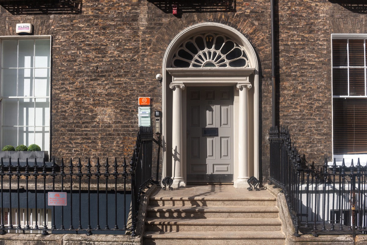 THE DOORS OF DUBLIN - UPPER MOUNT STREET 013