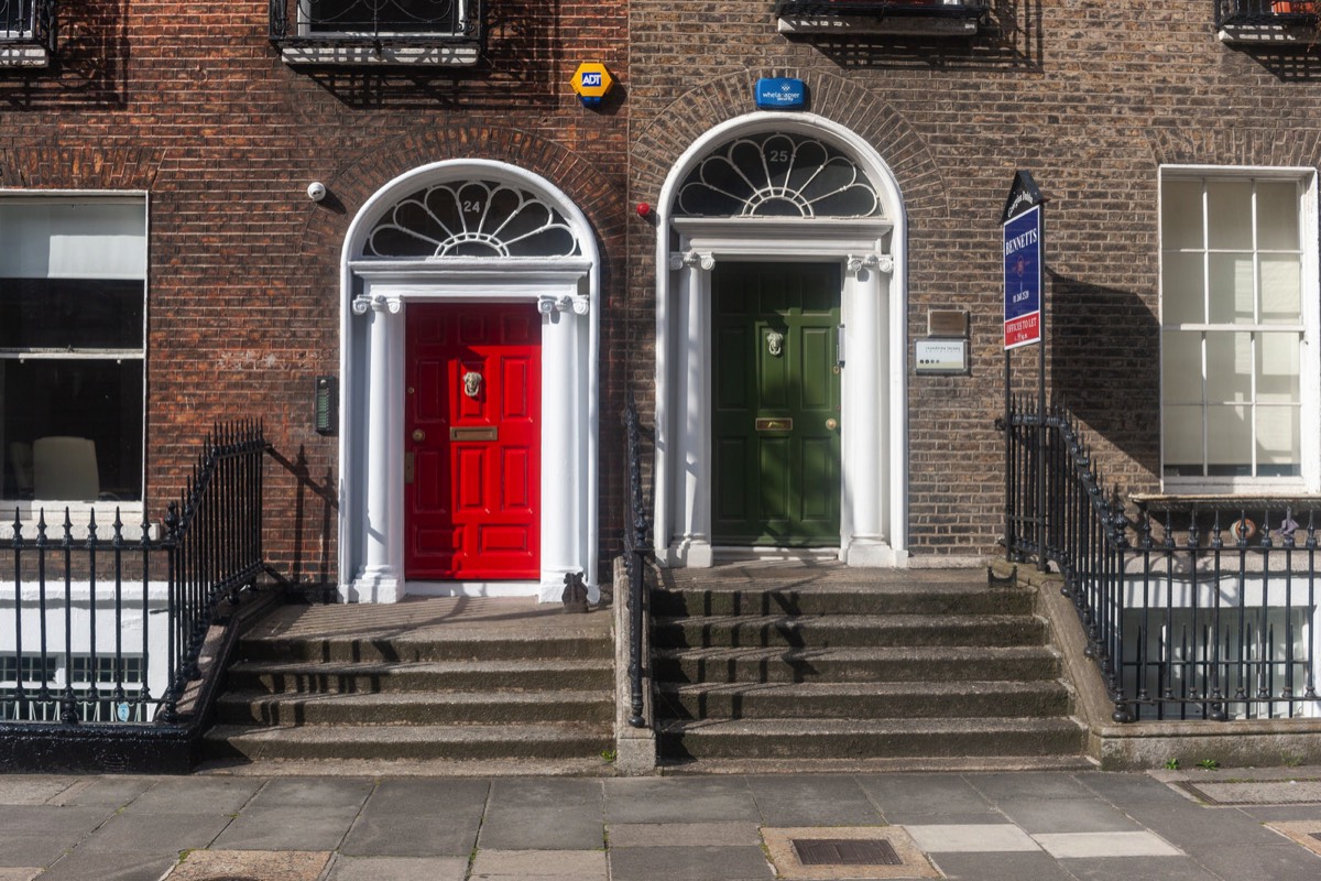 THE DOORS OF DUBLIN - UPPER MOUNT STREET 018