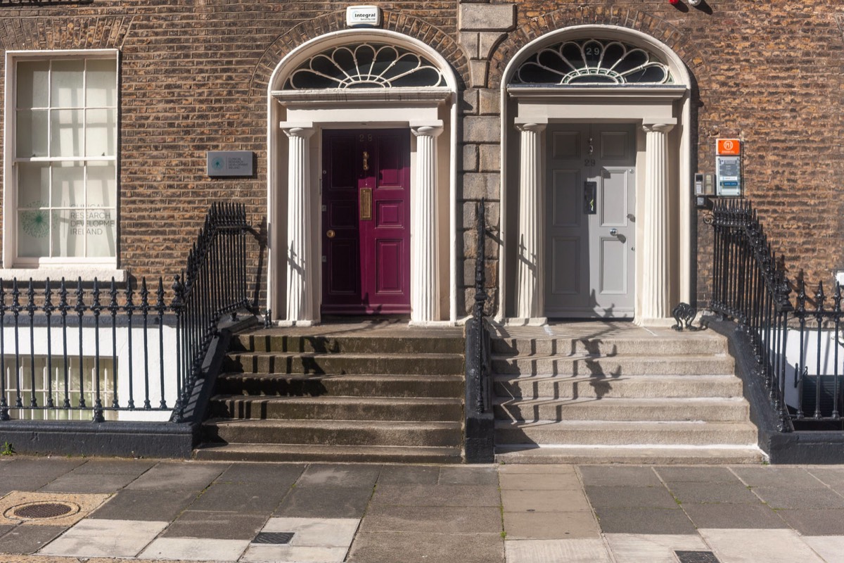 THE DOORS OF DUBLIN - UPPER MOUNT STREET 020