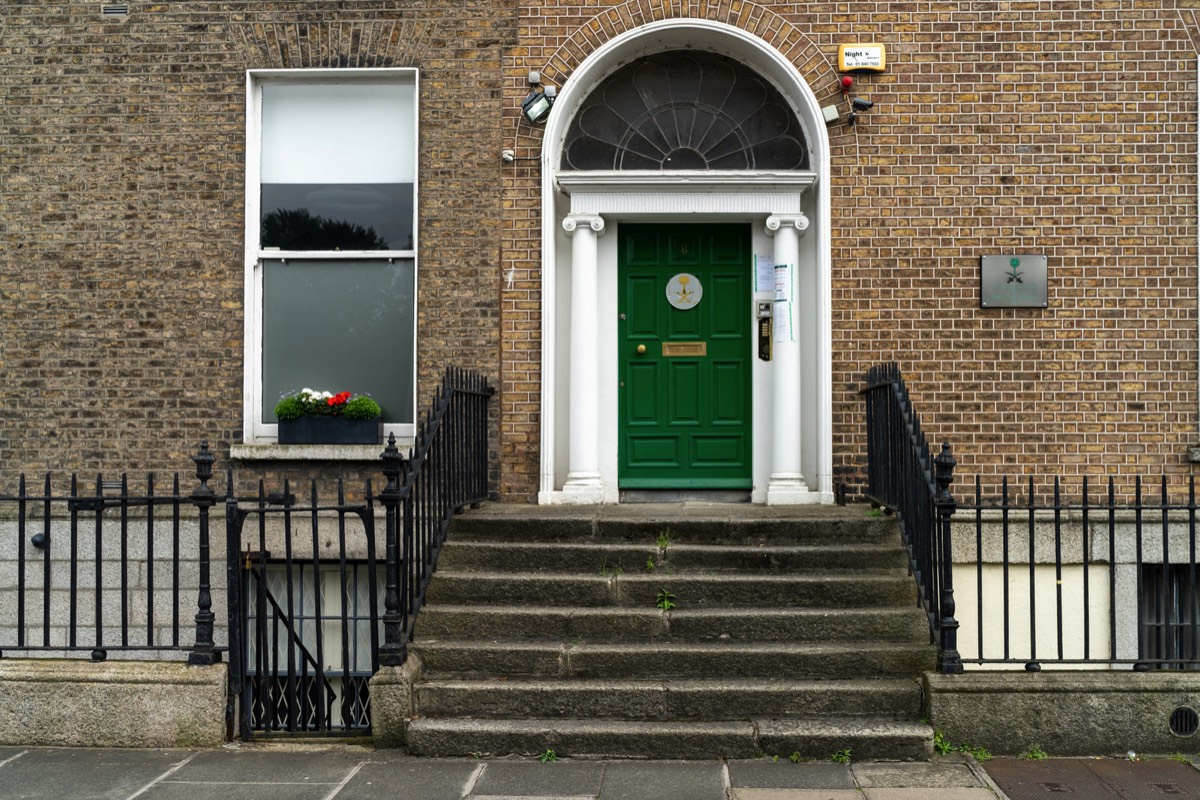 THE DOORS OF DUBLIN - FITZWILLIAM PLACE 003