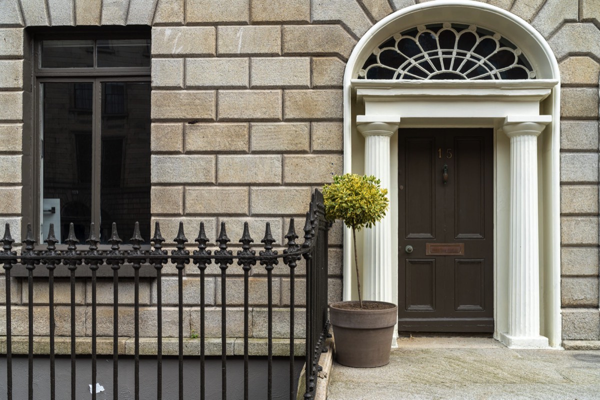 THE DOORS OF DUBLIN - FITZWILLIAM PLACE 022