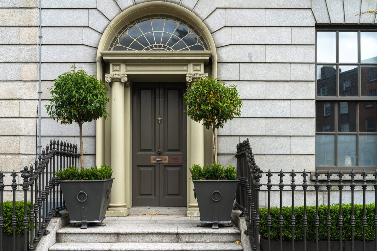 THE DOORS OF DUBLIN - FITZWILLIAM PLACE 026