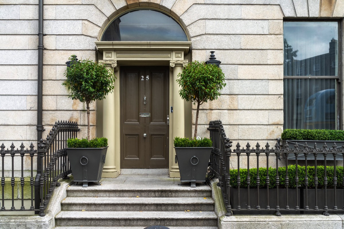 THE DOORS OF DUBLIN - FITZWILLIAM PLACE 027