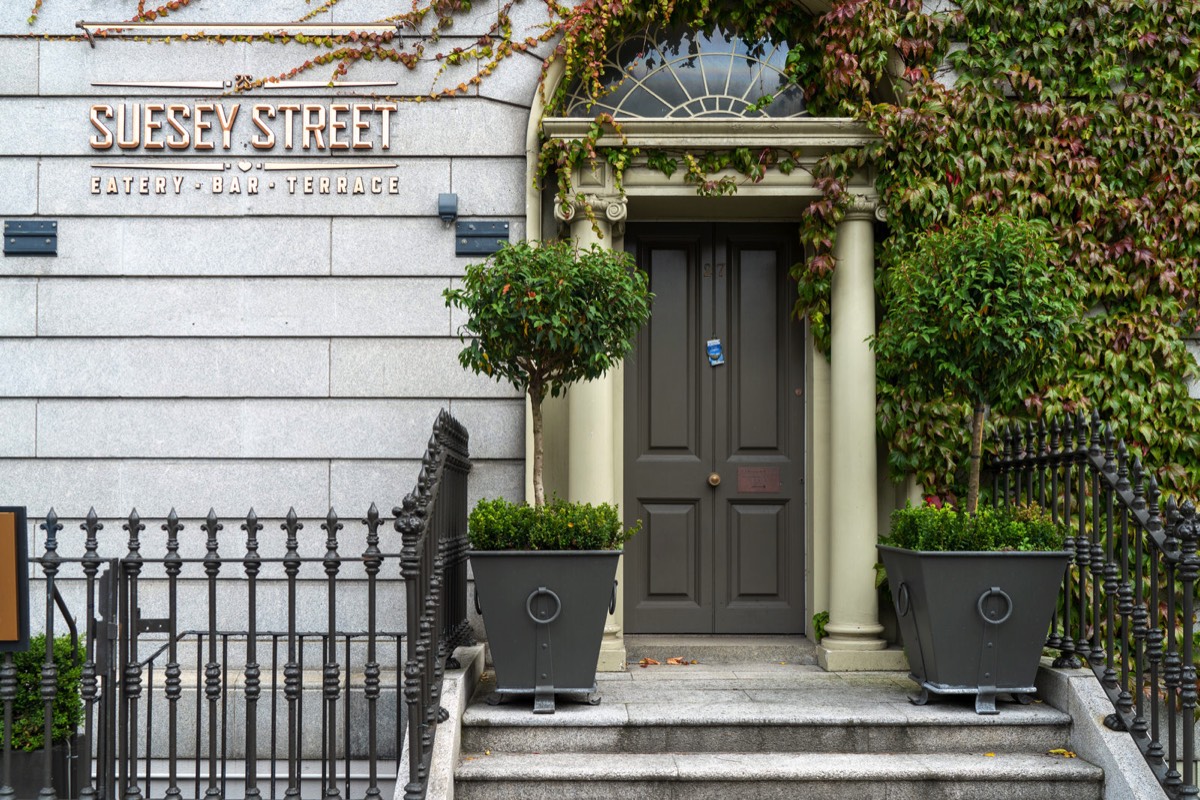 THE DOORS OF DUBLIN - FITZWILLIAM PLACE 030