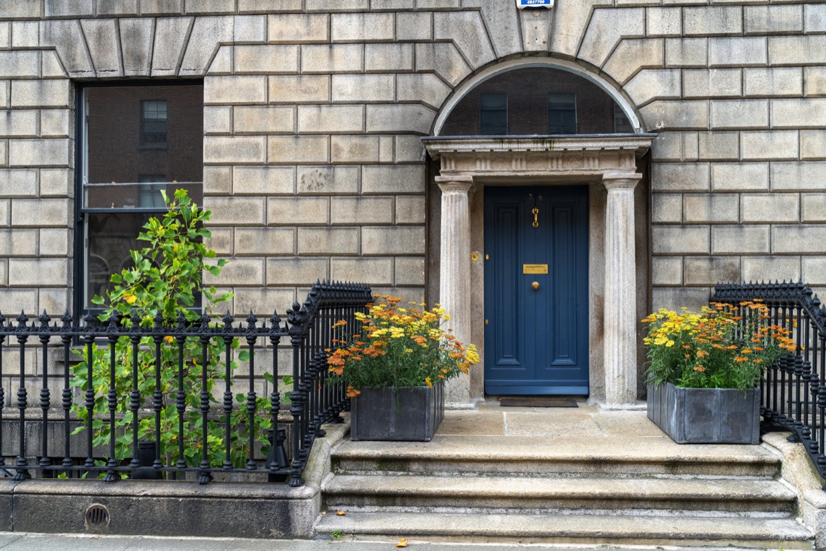 THE DOORS OF DUBLIN - FITZWILLIAM PLACE 035