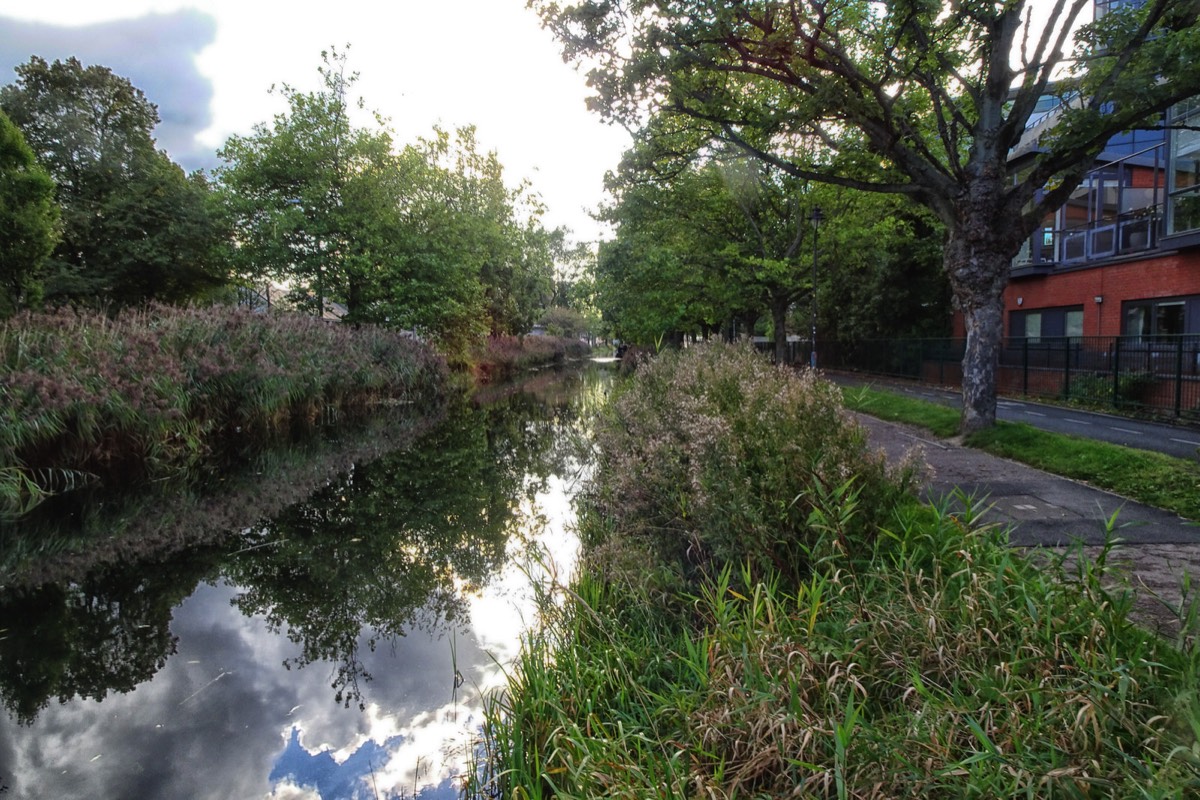 CHARLEMONT PLACE - FROM THE TRAM STOP TO THE BOARDWALK AT LEESON STREET BRIDGE 011