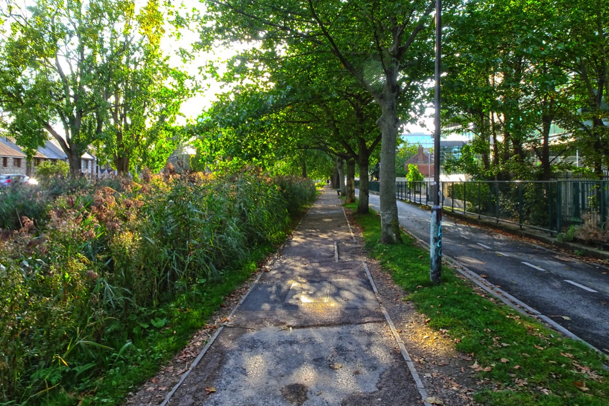 CHARLEMONT PLACE - FROM THE TRAM STOP TO THE BOARDWALK AT LEESON STREET BRIDGE 013