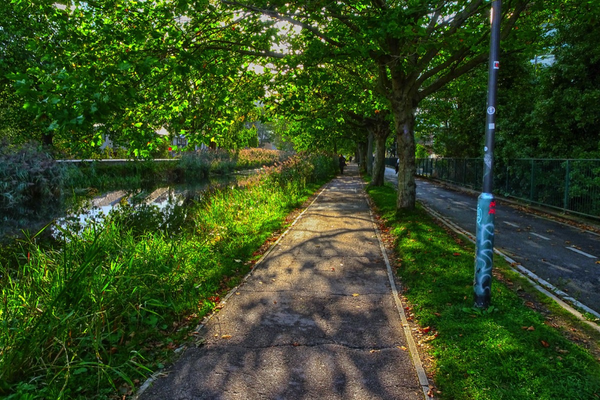 CHARLEMONT PLACE - FROM THE TRAM STOP TO THE BOARDWALK AT LEESON STREET BRIDGE 014