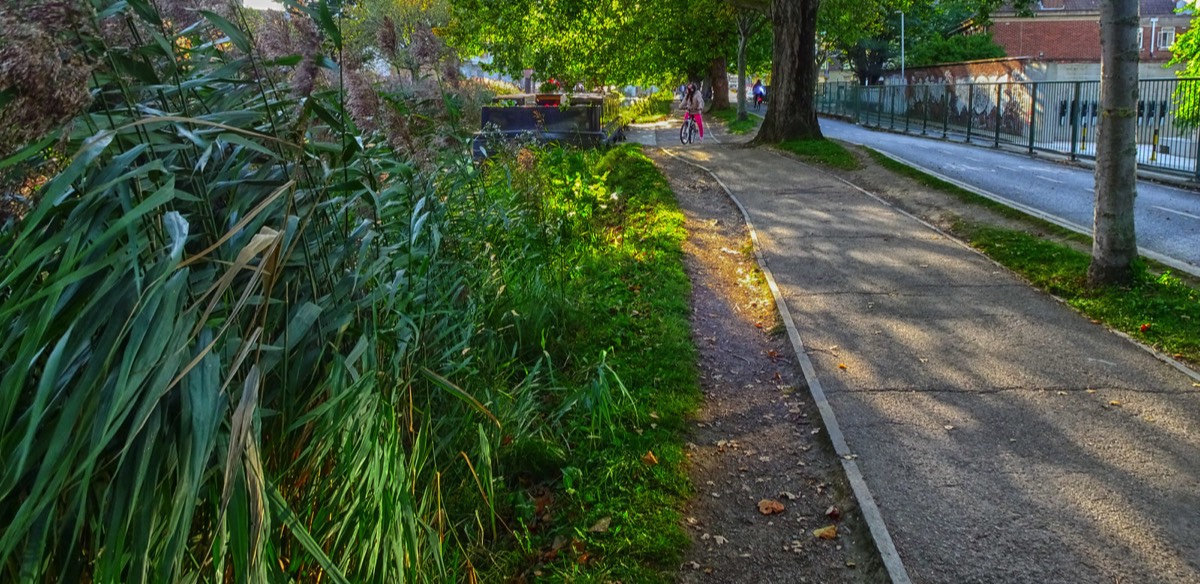 CHARLEMONT PLACE - FROM THE TRAM STOP TO THE BOARDWALK AT LEESON STREET BRIDGE 016