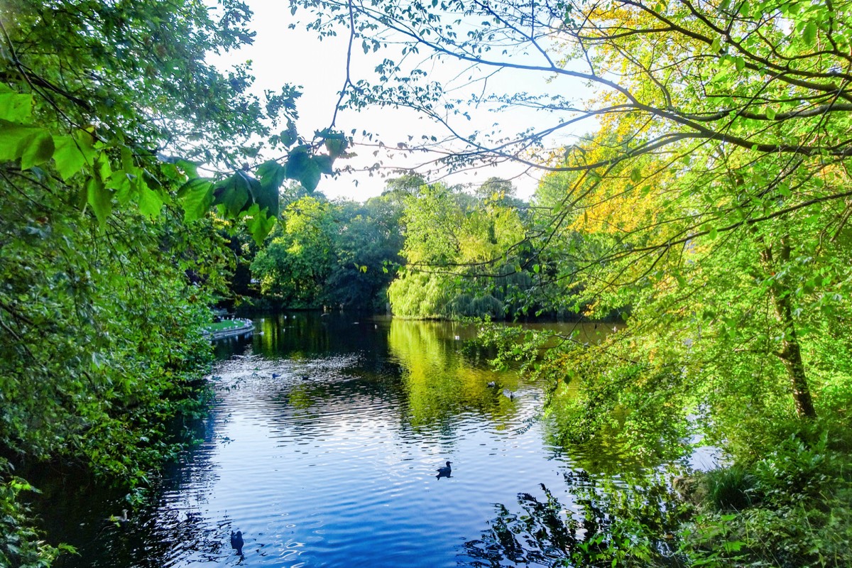 ST STEPHENS GREEN 26 SEPTEMBER 2020 007