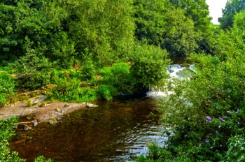  RIVER DODDER NEAR THE MILLTOWN TRAM STOP 