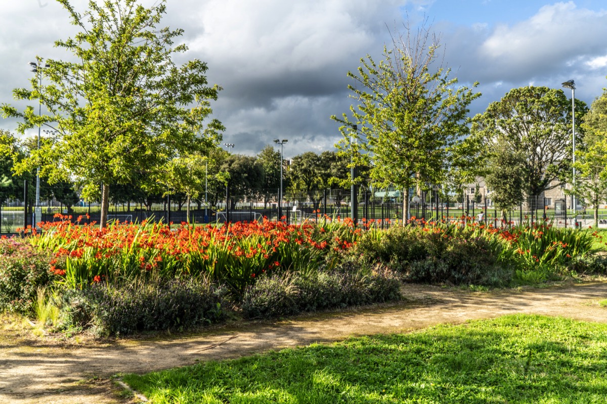 GRANGEGORMAN COLLEGE CAMPUS 019