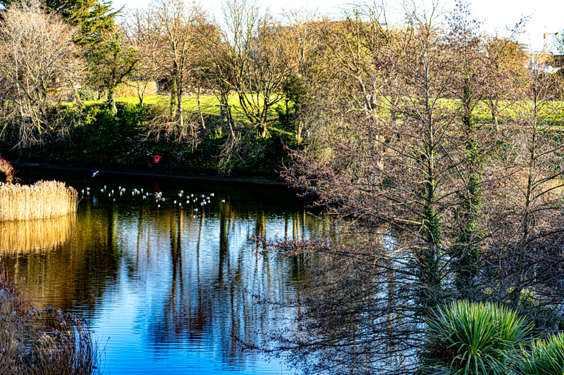  PHOENIX PARK 