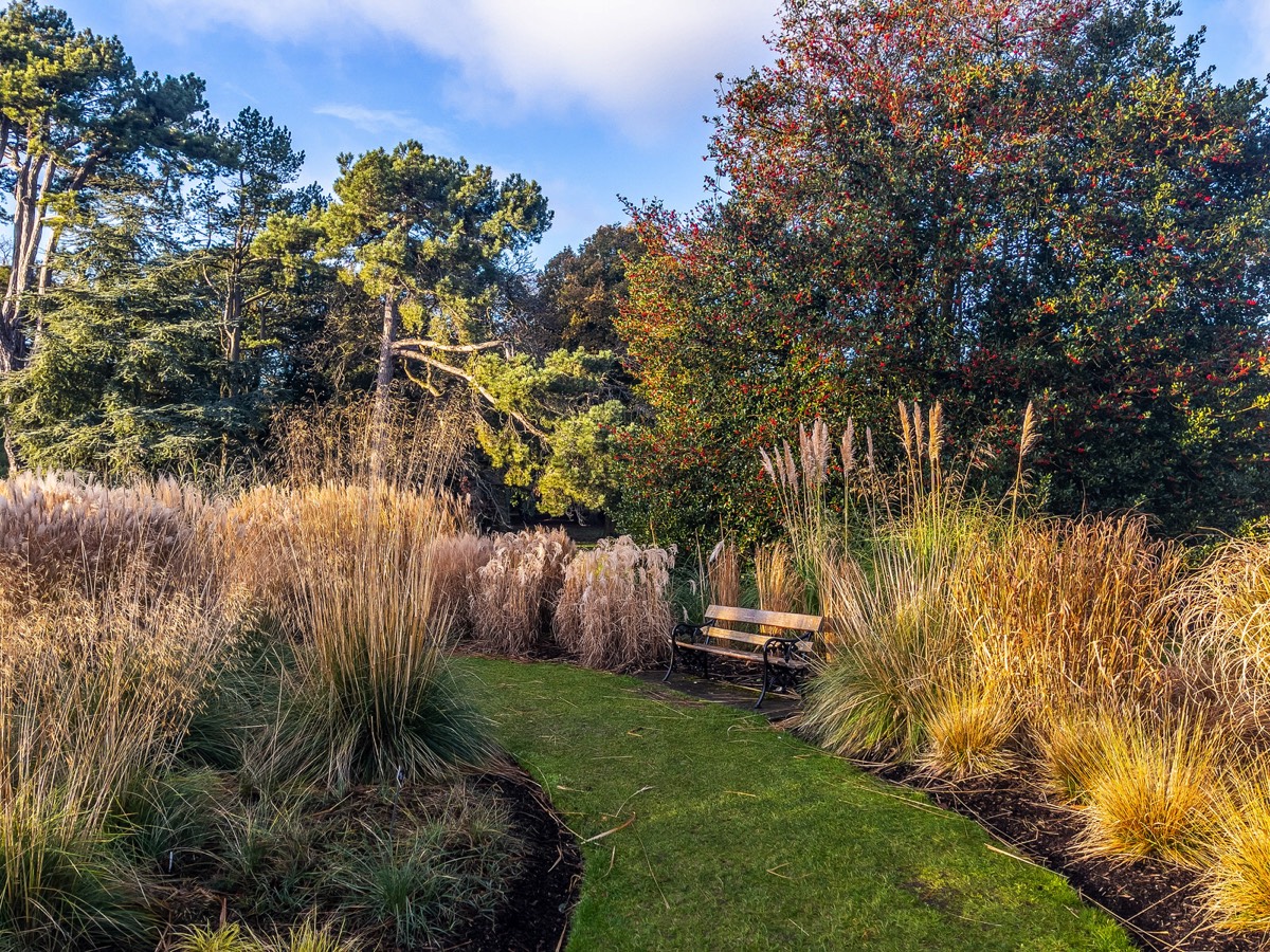 ORNAMENTAL GRASS GARDEN - BOTANIC GARDENS 008