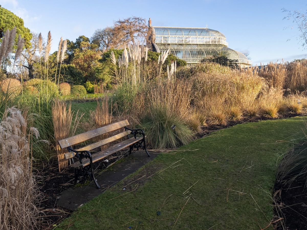 ORNAMENTAL GRASS GARDEN - BOTANIC GARDENS 011