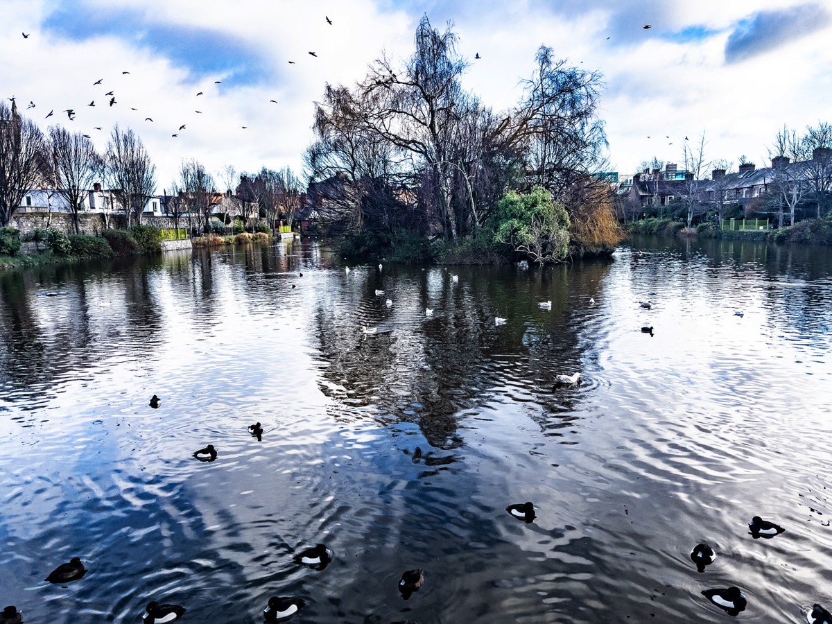 BLESSINGTON STREET BASIN PUBLIC PARK 004