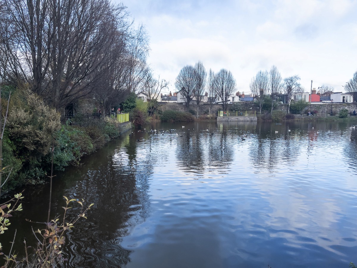 BLESSINGTON STREET BASIN PUBLIC PARK 005