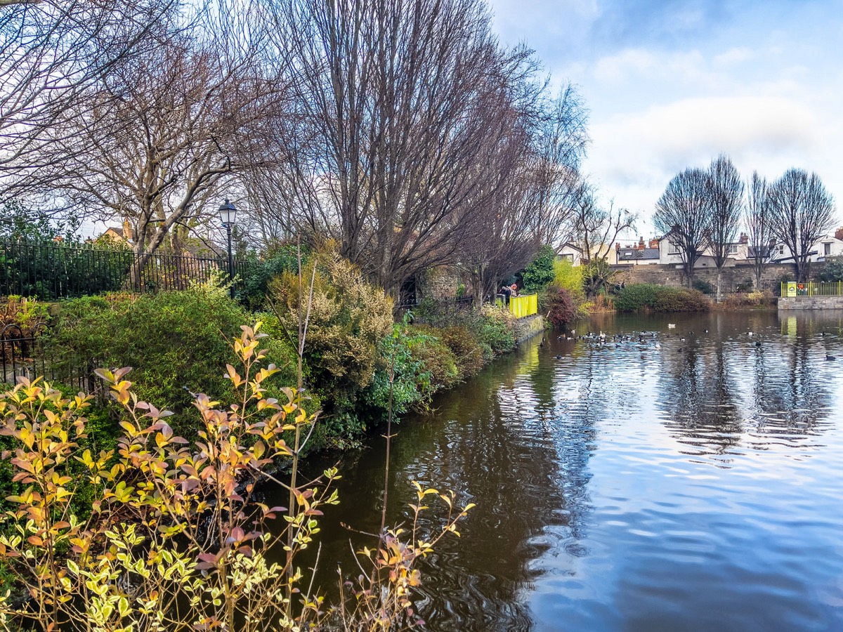 BLESSINGTON STREET BASIN PUBLIC PARK 006