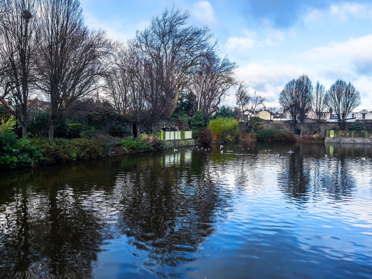 BLESSINGTON STREET BASIN PUBLIC PARK 008