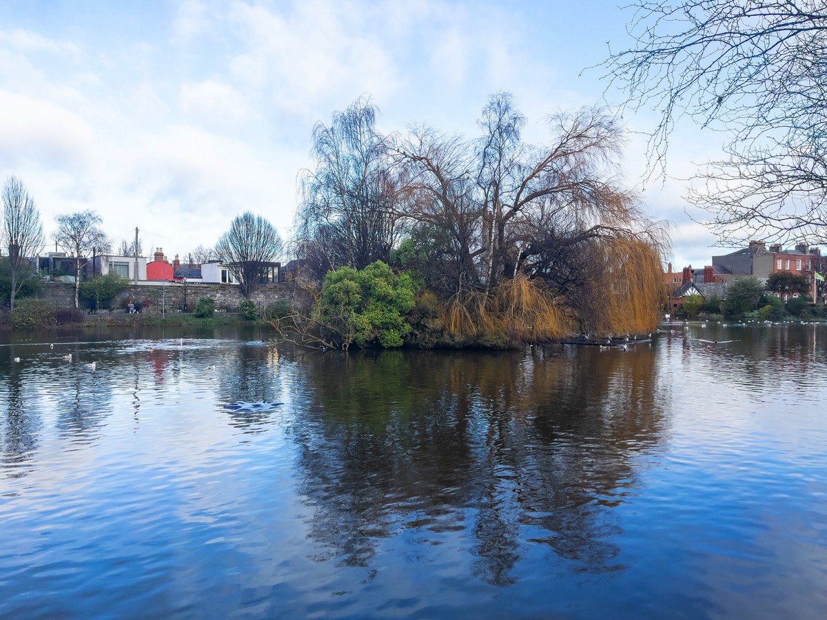 BLESSINGTON STREET BASIN PUBLIC PARK 009