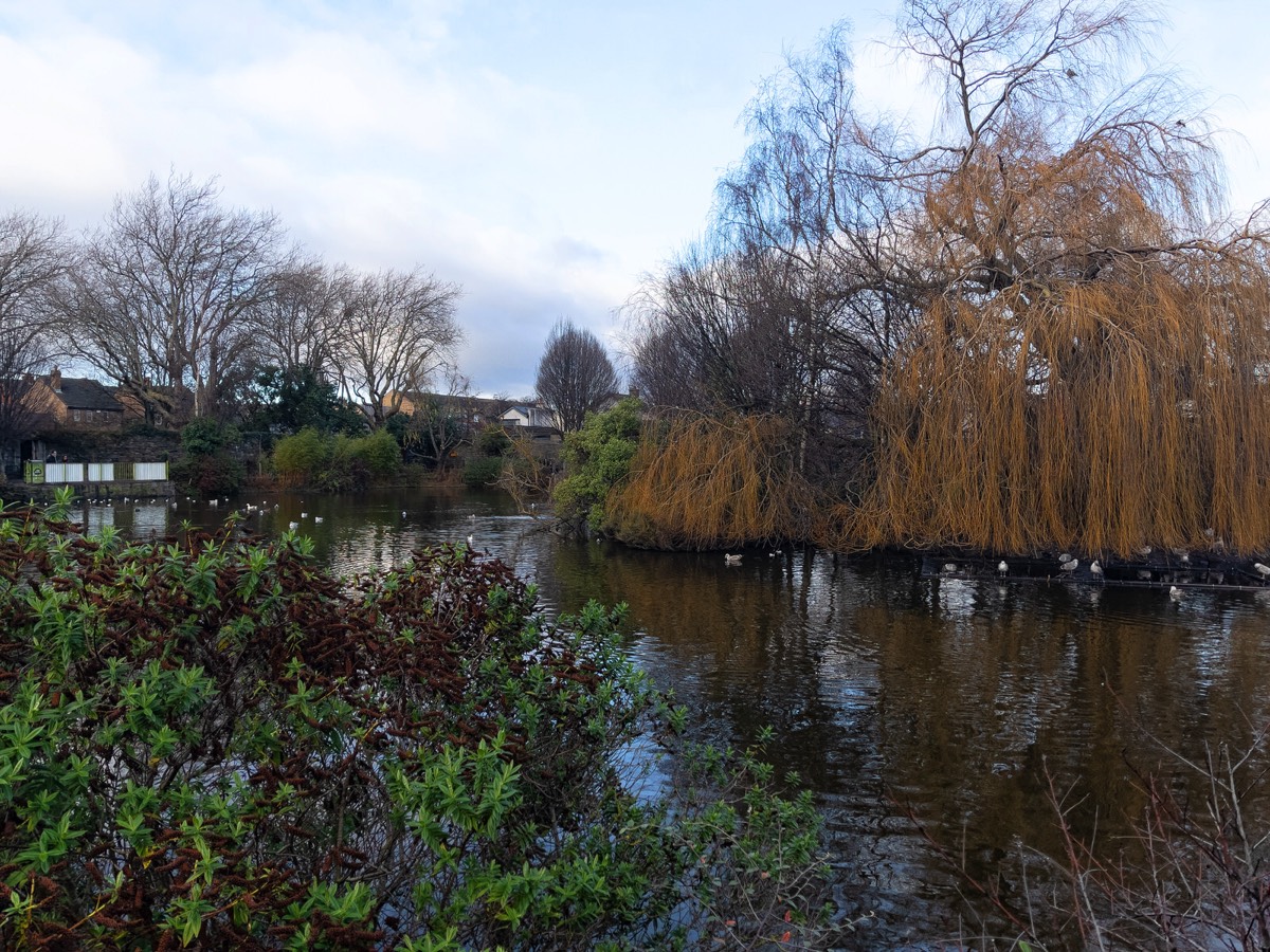 BLESSINGTON STREET BASIN PUBLIC PARK 011