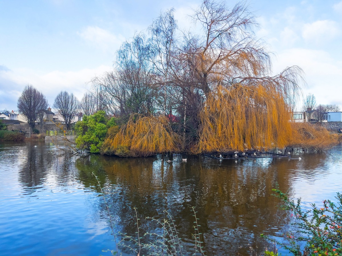 BLESSINGTON STREET BASIN PUBLIC PARK 014