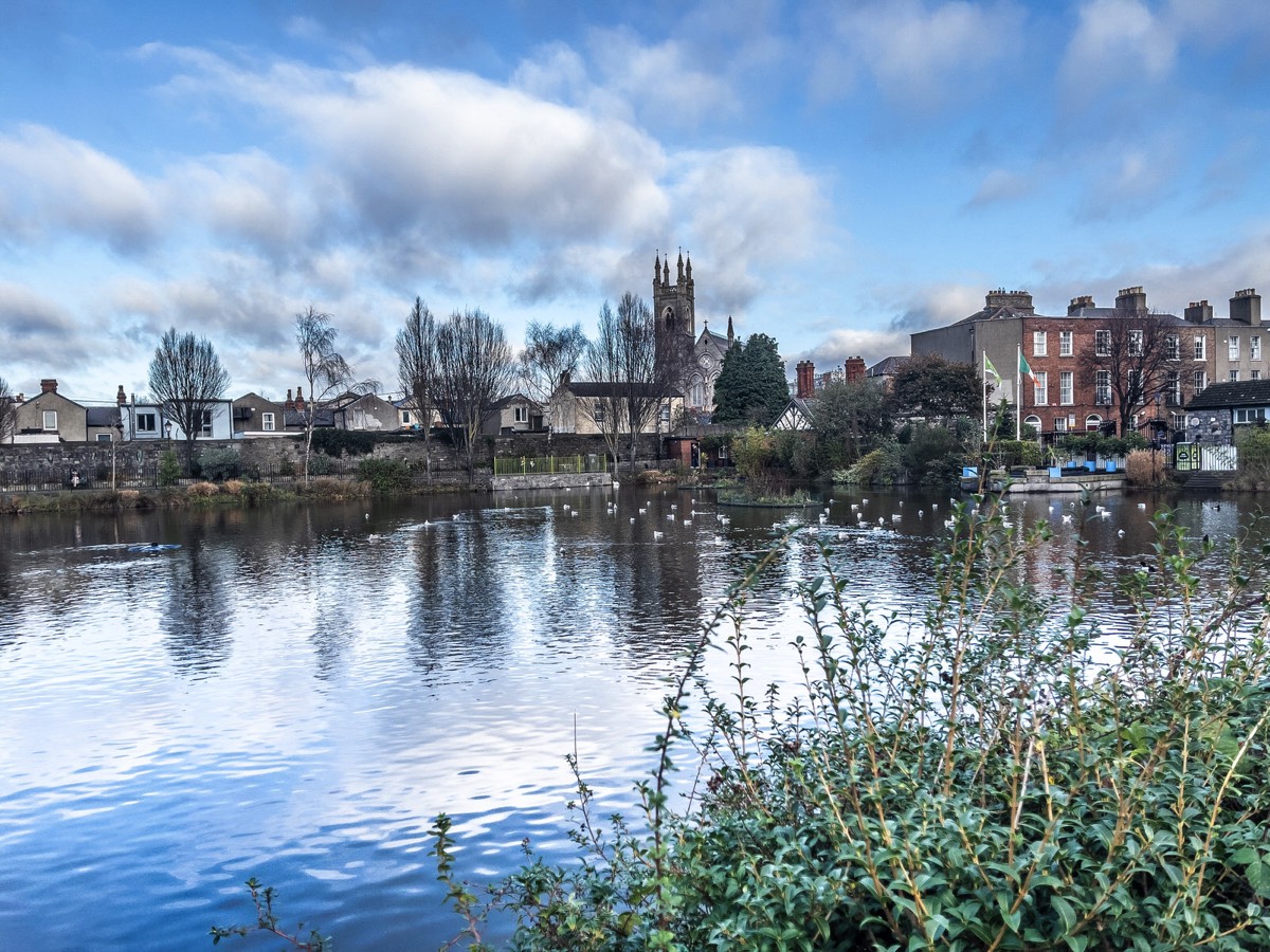 BLESSINGTON STREET BASIN PUBLIC PARK 016