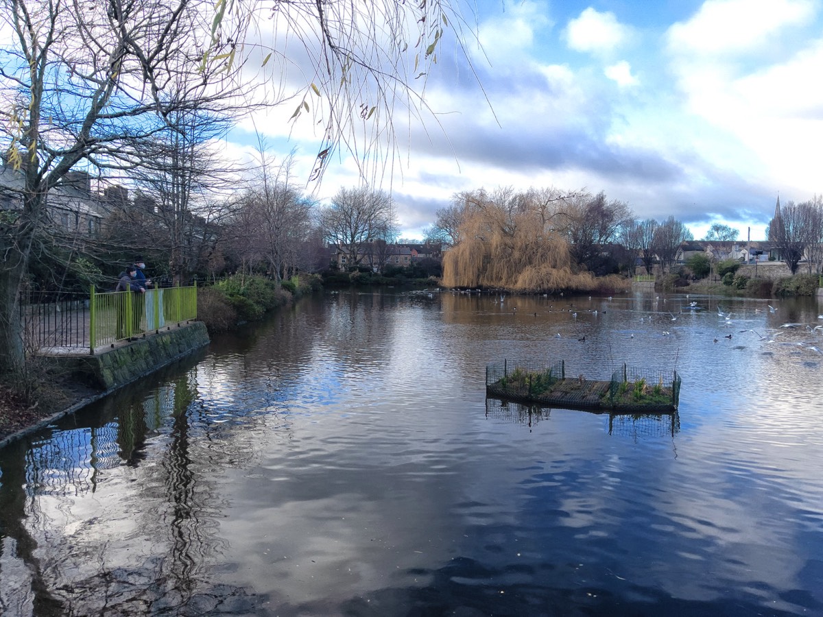 BLESSINGTON STREET BASIN PUBLIC PARK 017