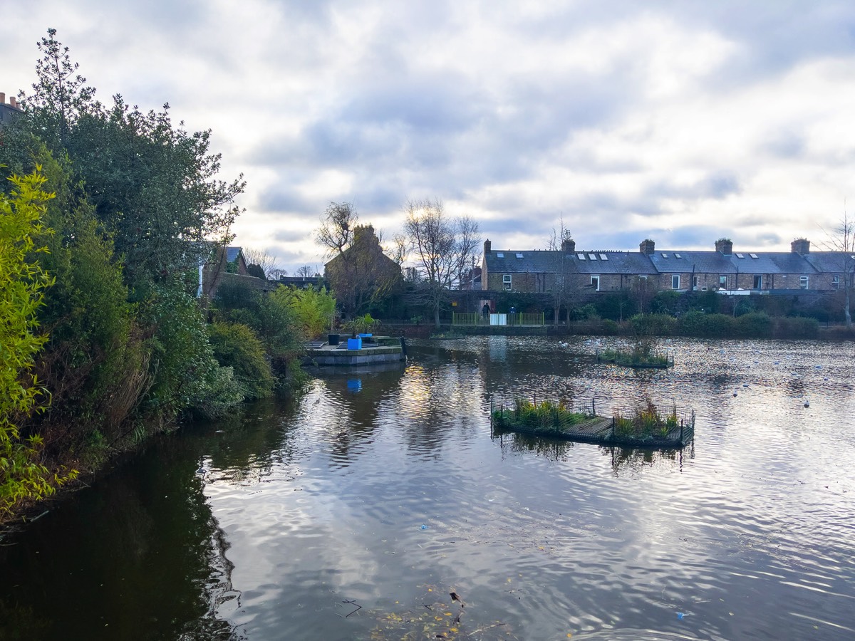 BLESSINGTON STREET BASIN PUBLIC PARK 028