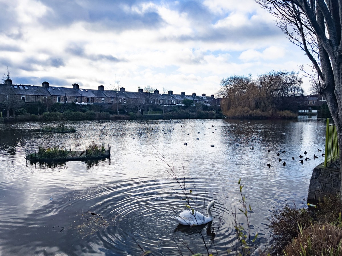 BLESSINGTON STREET BASIN PUBLIC PARK 029