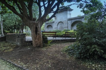  JUNE VISIT TO MERRION SQUARE PUBLIC PARK 