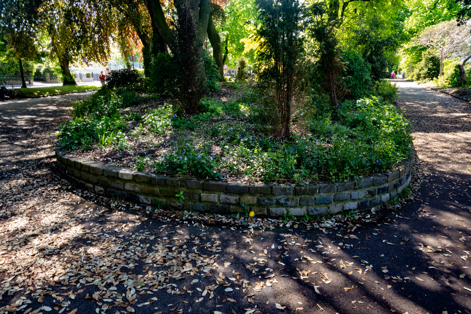  A Small But Popular Public Park At Harolds Cross 