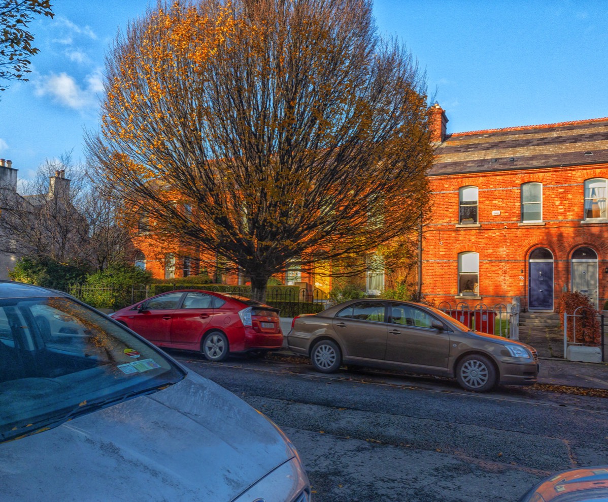 LATE AUTUMN IN RATHGAR - GARVILLE AVENUE  009