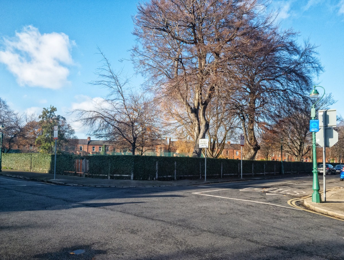 LATE AUTUMN IN RATHGAR - GARVILLE AVENUE  011