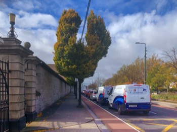  CAREFUL TREE ON GROVE ROAD 