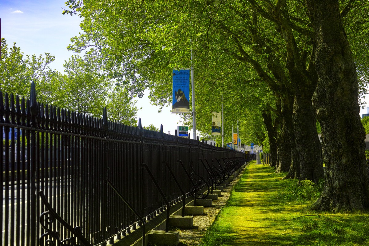 HISTORIC PUBLIC PARK - WOLFE TONE QUAY 001