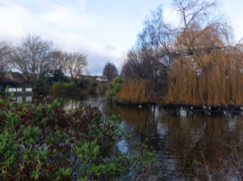  BLESSINGTON STREET BASIN PUBLIC PARK 