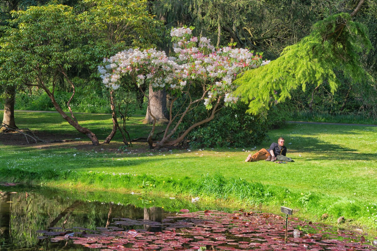 MAYDAY 2017 VISIT TO THE BOTANIC GARDENS 021