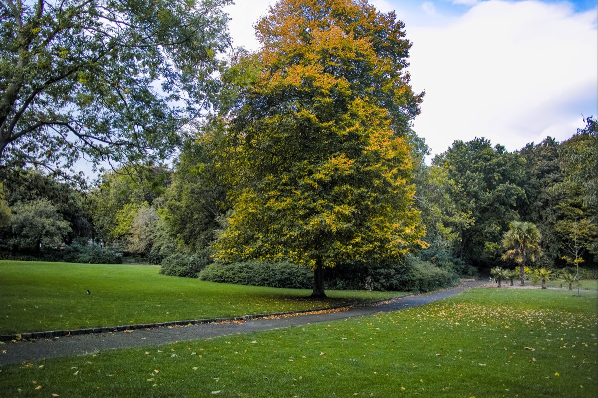 6 OCTOBER 2020 VISIT TO MERRION SQUARE PUBLIC PARK 004