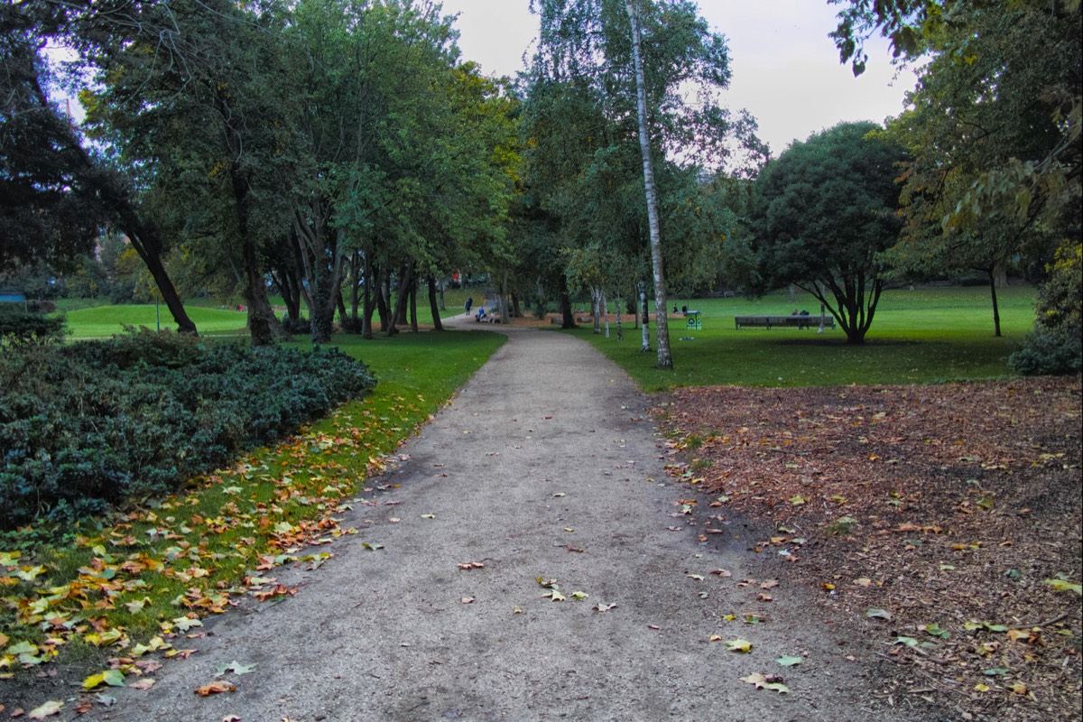 6 OCTOBER 2020 VISIT TO MERRION SQUARE PUBLIC PARK 005