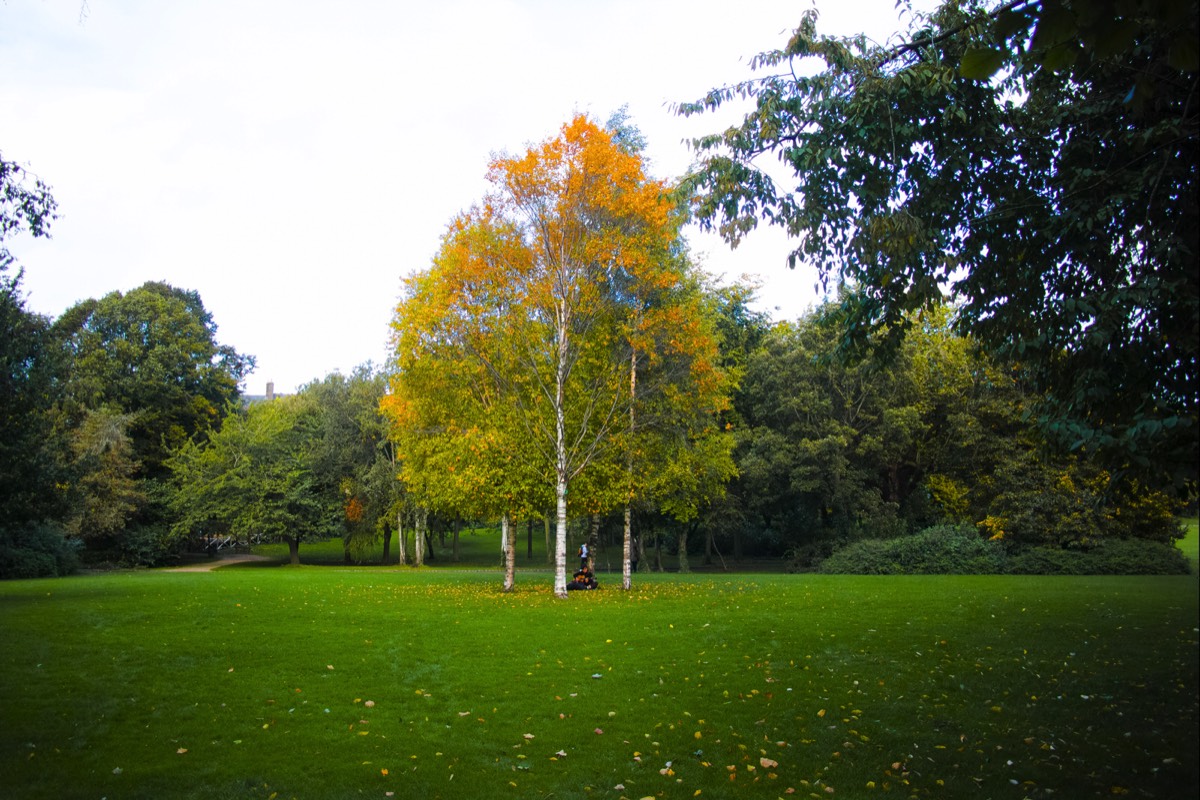 6 OCTOBER 2020 VISIT TO MERRION SQUARE PUBLIC PARK 006