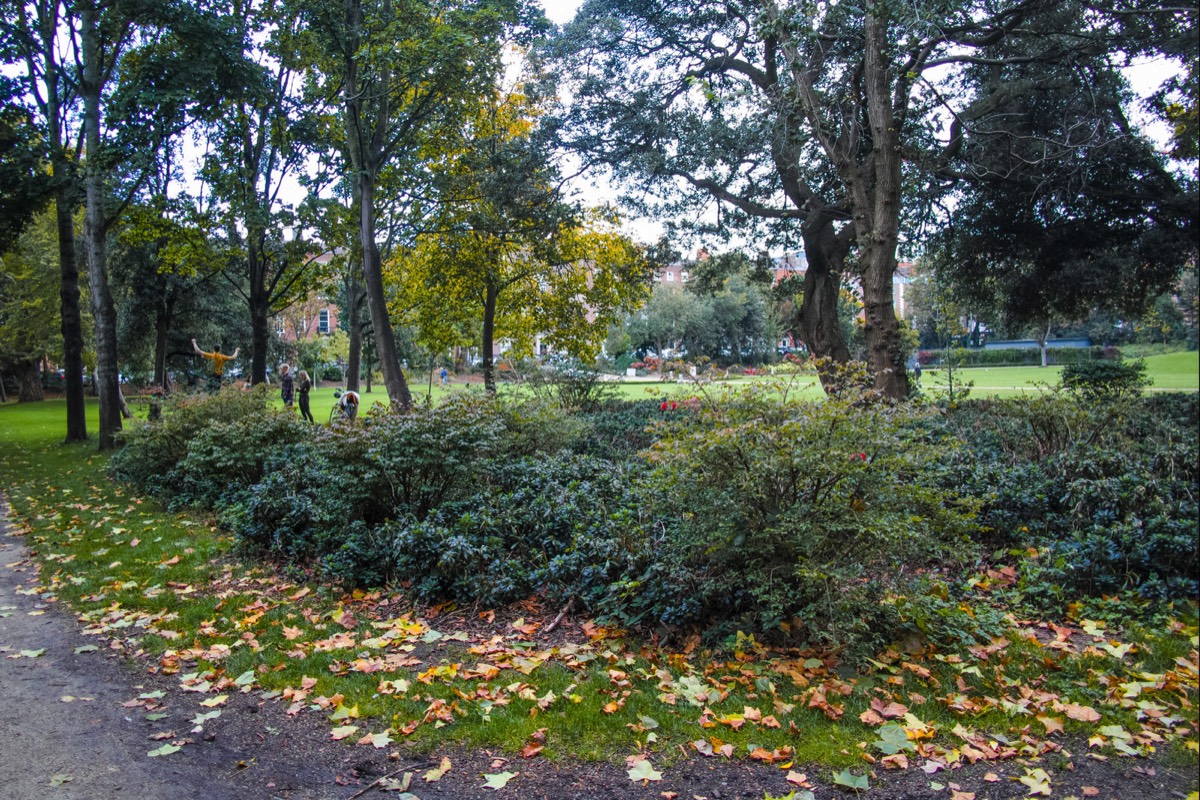 6 OCTOBER 2020 VISIT TO MERRION SQUARE PUBLIC PARK 008