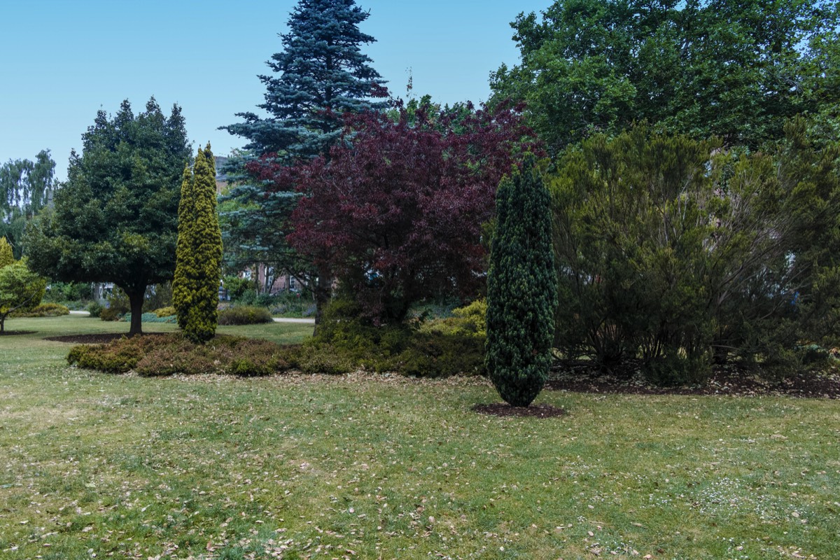 MERRION SQUARE PUBLIC PARK IN JUNE 002