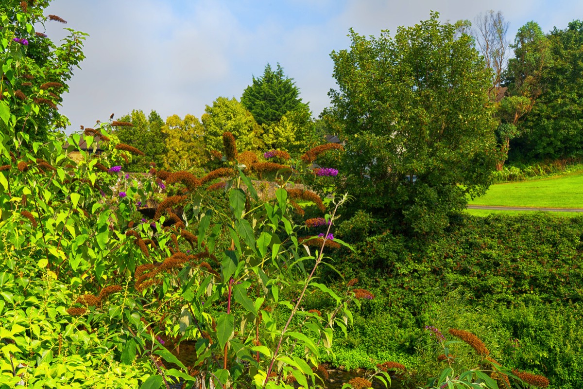 MILLTOWN LINEAR PARK NEAR THE TRAM STOP  001