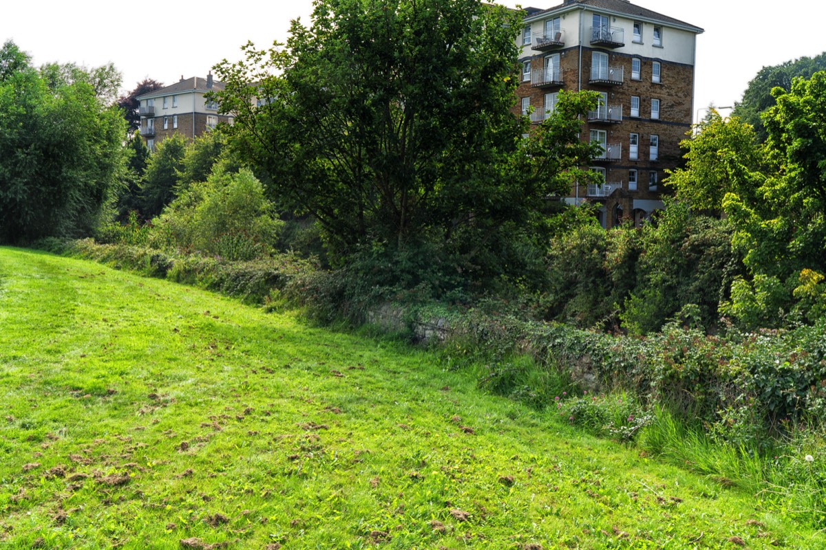 MILLTOWN LINEAR PARK NEAR THE TRAM STOP  003