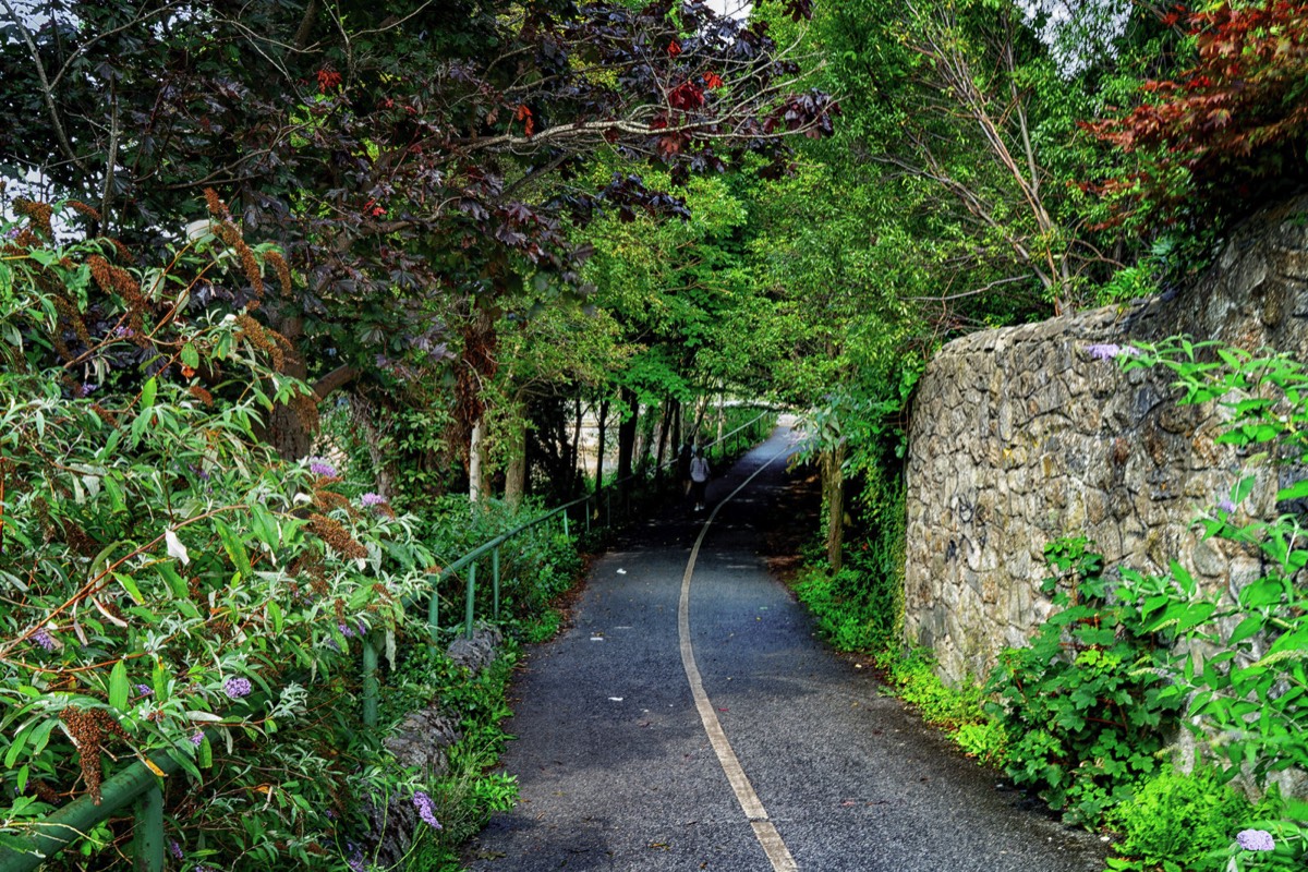 MILLTOWN LINEAR PARK NEAR THE TRAM STOP  007